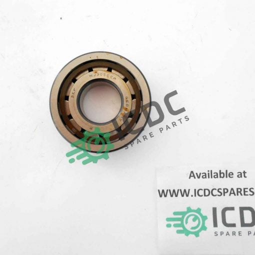 SKF NJ305 ECP ICDC 005969 1