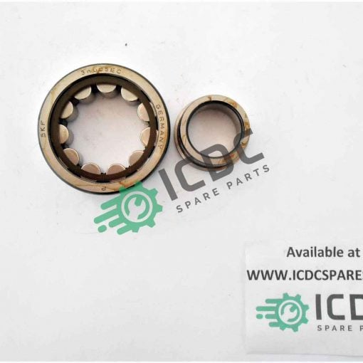 SKF NJ305 ECP ICDC 005969 2