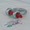CERTEX NTBRIPINGP41 25T Fissaggio ICDC 000923 1