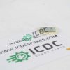 IGUS NW 01 40 Trolley ICDC 002679 1